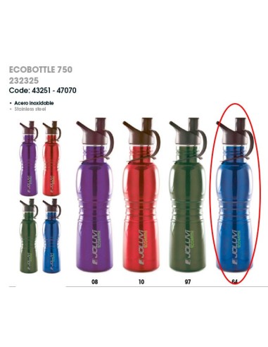 Botella ecológica de acero inoxidable - ECOBOTTLE 750